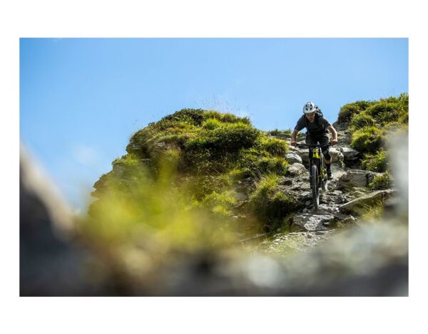 Santa Cruz Heckler CC S – Image 6