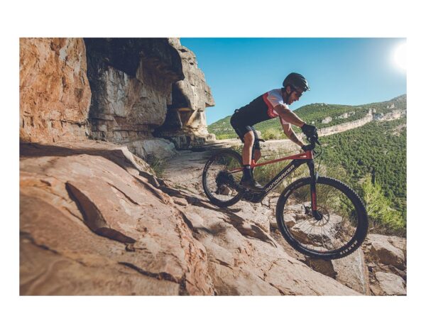 Mondraker PRIME 29 – Image 8