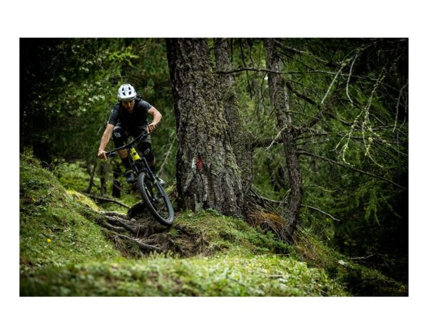 Santa Cruz Heckler CC S – Image 7