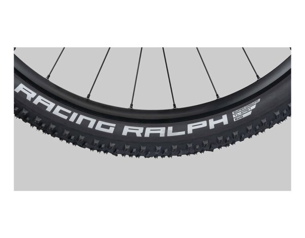 Radon Jealous AL 10.0 – Image 10